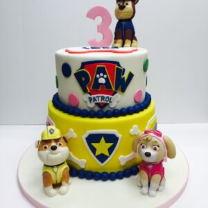 Paw Patrol Cakes - Cakes by Robin