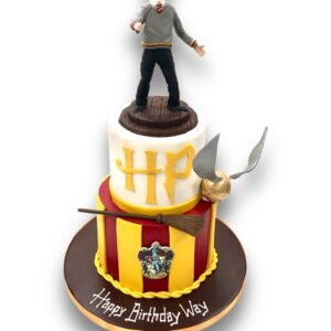 Harry Potter birthday cake, Food & Drinks, Homemade Bakes on Carousell