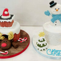 Christmas Cakes from Cakes by Robin