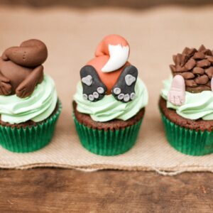 Woodland animal cupcakes