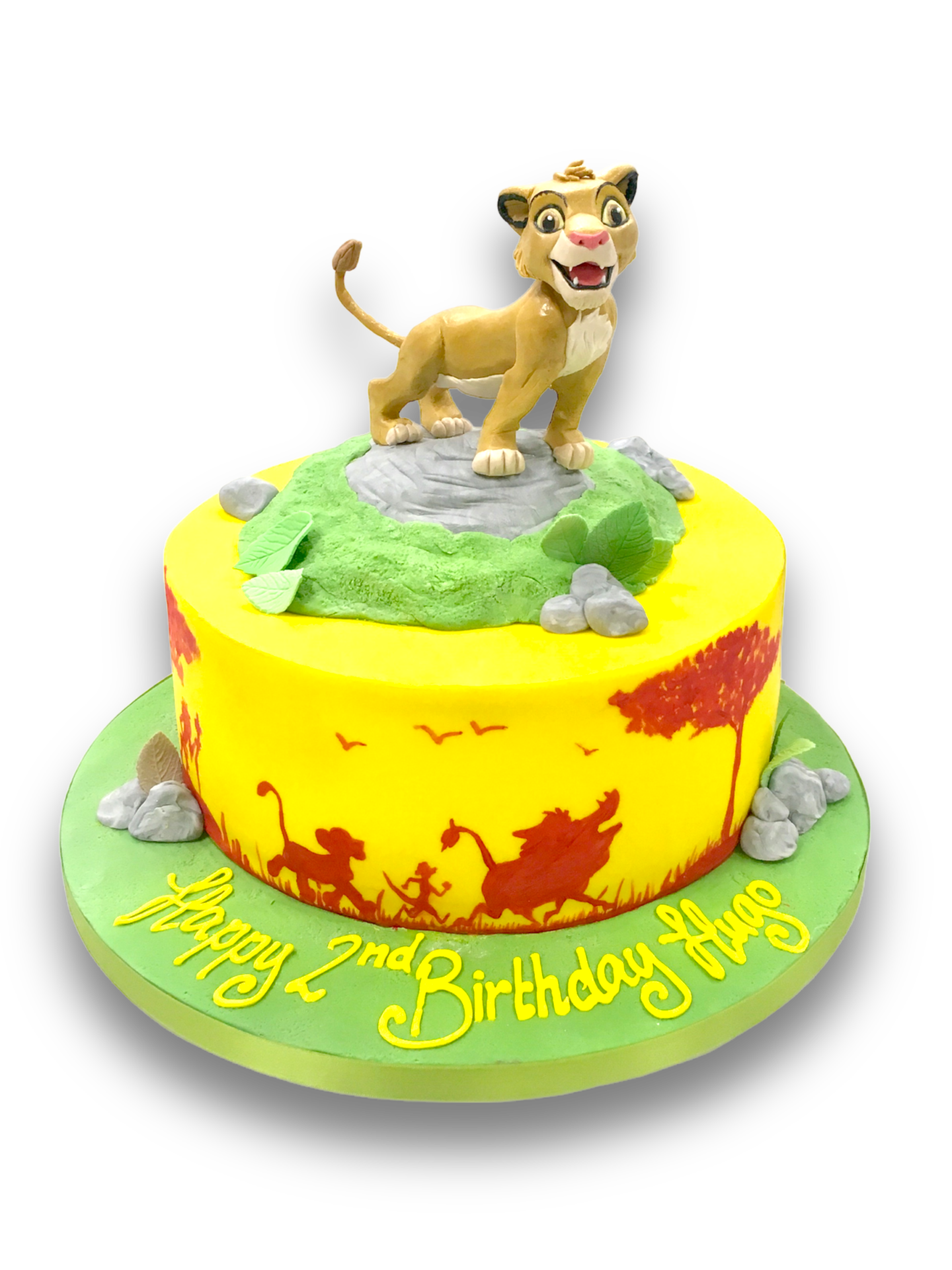 Disney Lion King Simba Birthday Cake Smash Party Outfit – Roo's Cake-Smash  Designs