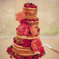 Naked wedding cake