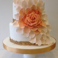 Orange Flower cake