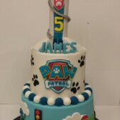paw patrol cakes cakes