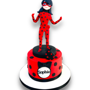 Ladybug birthday cake