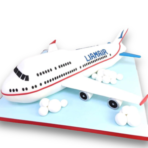 3D plane cake