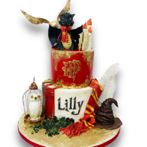Harry Potter Cake | Angel Food Bakery