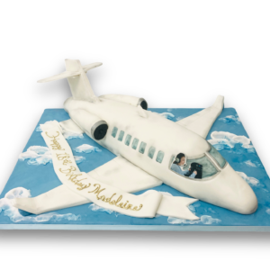 3D plane cake