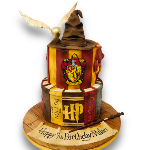 Harry Potter themed birthday cake