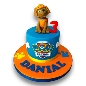 paw patrol Zumba cake