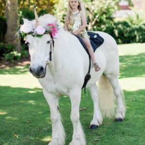 Unicorn Themed Party Image