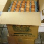 boxes of eggs