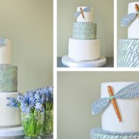 facebook cover timeline dragon fly cake