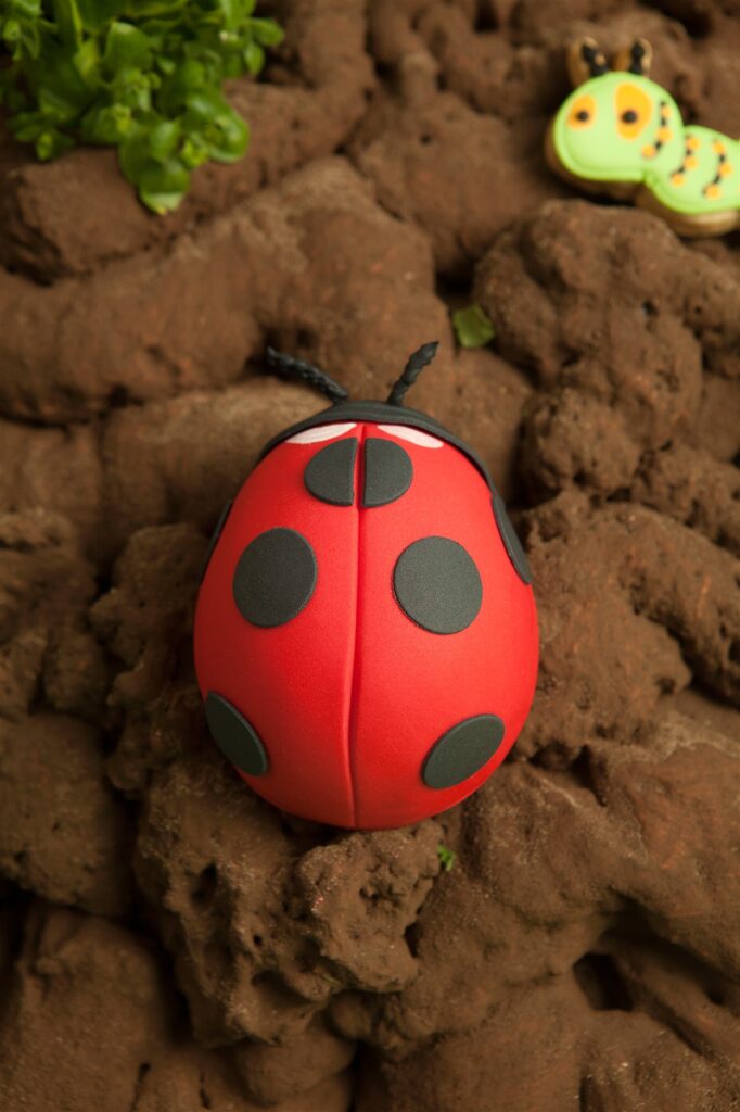 Ladybird cake