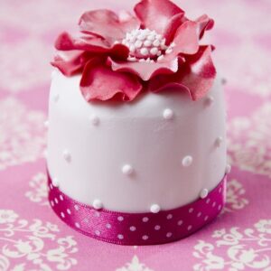 miniature_white_pink_flower_2