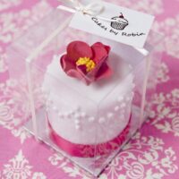 miniature cakes