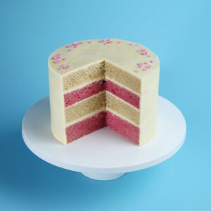 pink-white-layer-patisserie-cake
